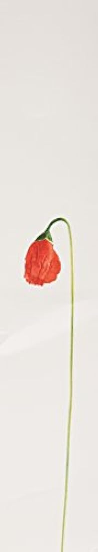 Kenzo - Perfume para las mujeres.