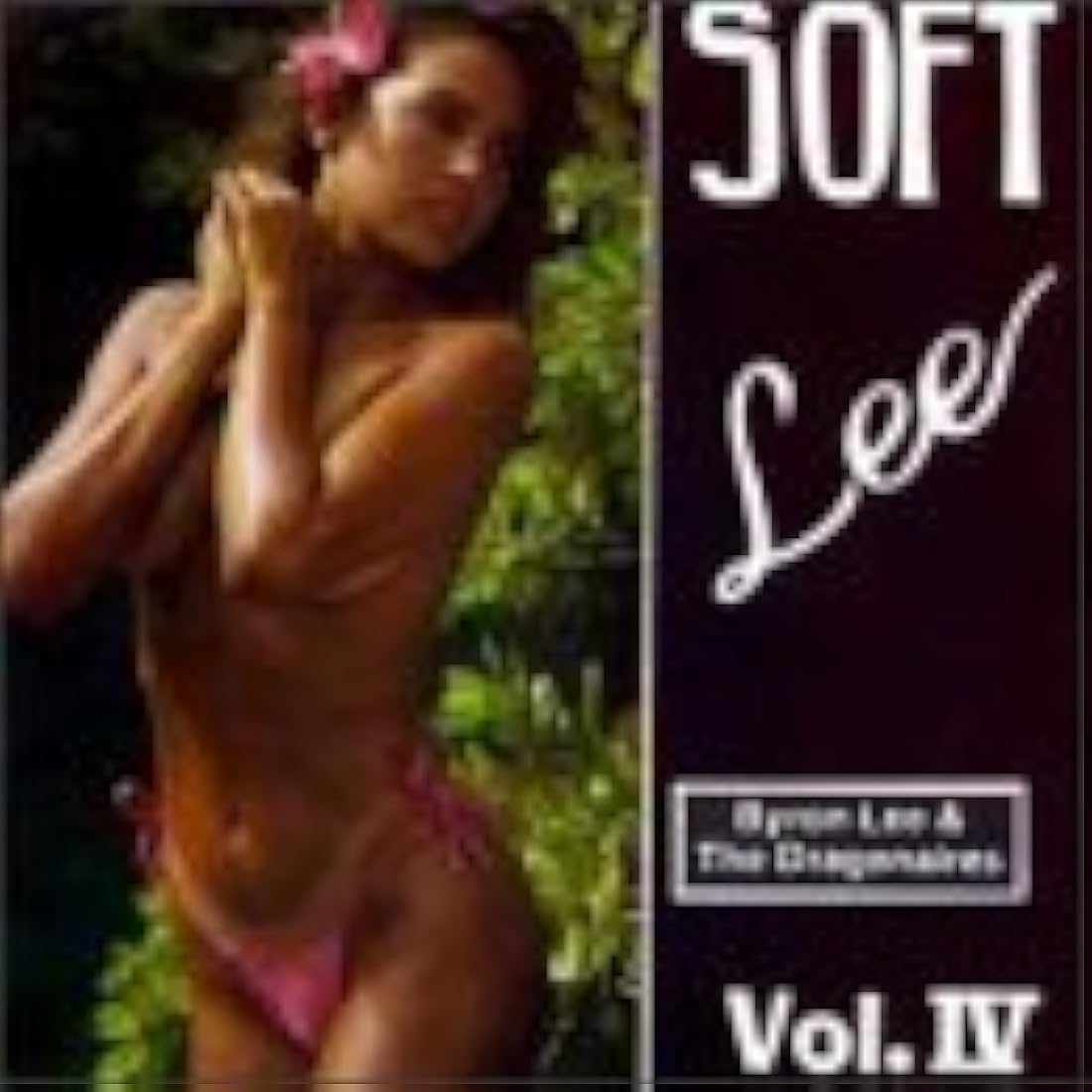 Soft Lee Vol. 4
