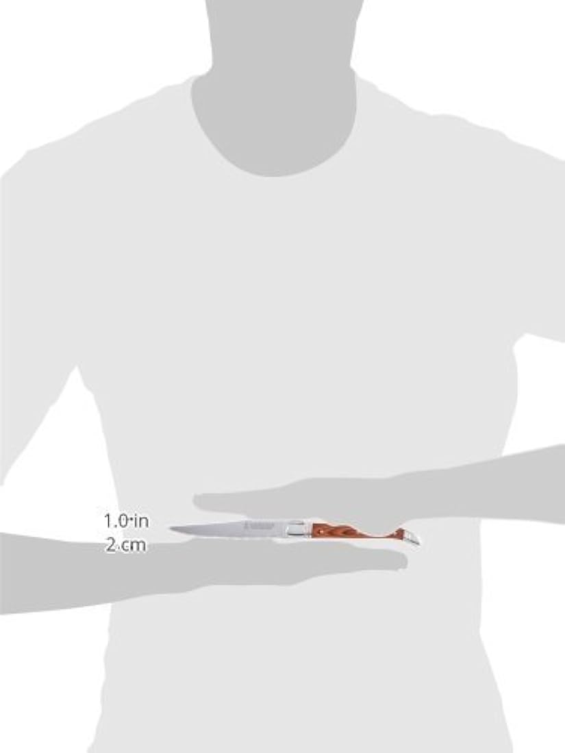 Juego de 6 cuchillos de carne