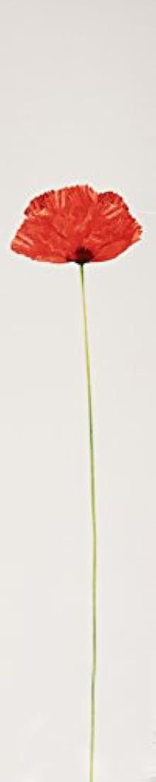 Kenzo - Perfume para las mujeres.