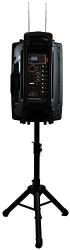 Sistema portátil recargable con micrófonos inalámbricos