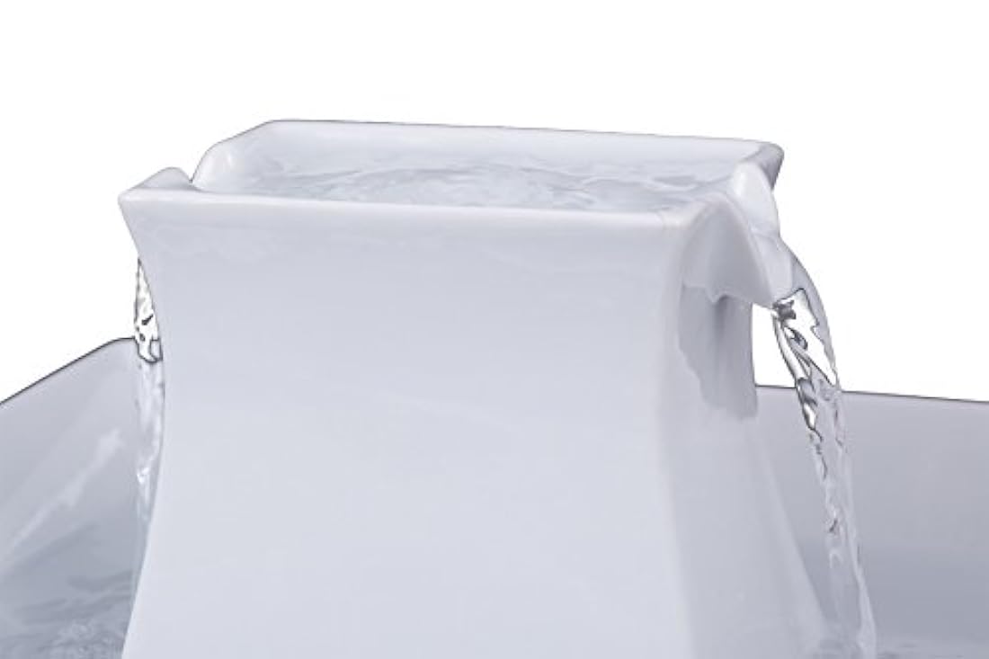 Fuente de agua para perros y gatos.