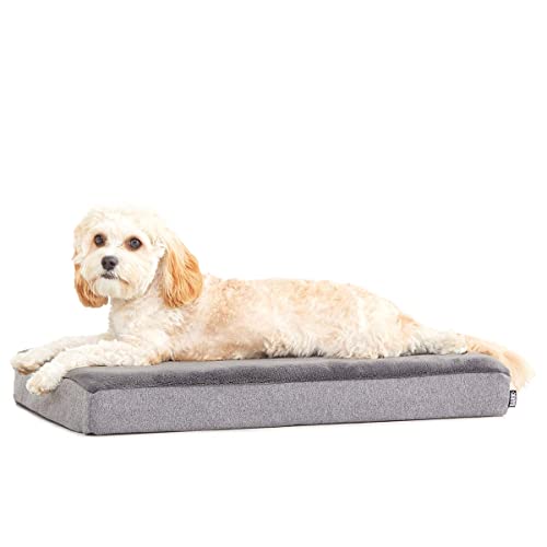 Barkbox Cama para perro con plataforma de espuma viscoelástica, colchón de felpa para alivio ortopédico, lavable a máquina con funda extraíble y forro resistente al agua, incluye juguete chirriador