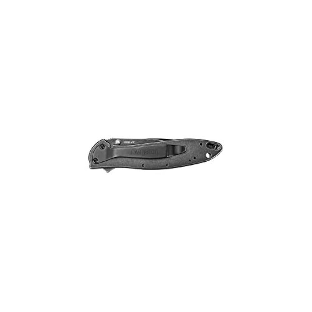 Kershaw Leek, Navaja de bolsillo BlackWash 1660BLKW