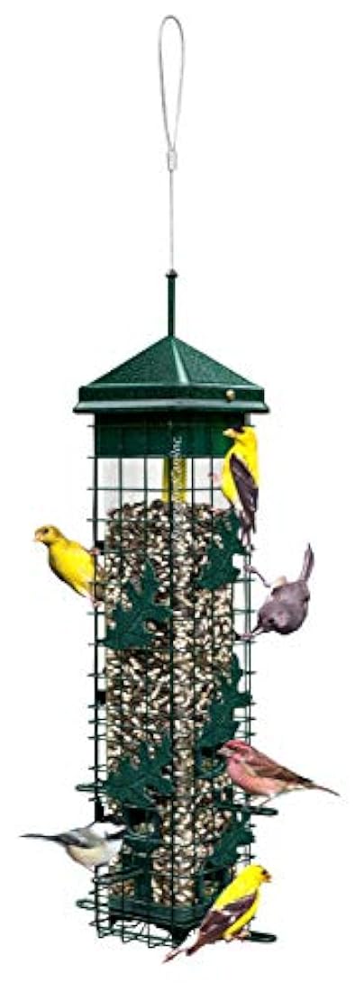 Brome 2004 Squirrel Solution200 (5.5 x 5.5 x 30 pulgadas)