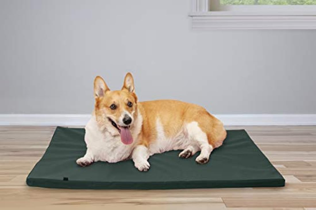 Cama para perros y perreras de colchón ortopédico