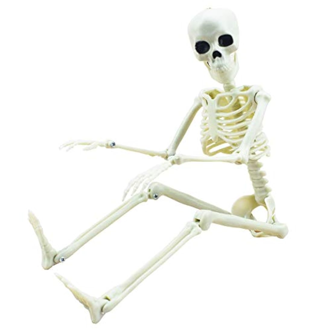 Esqueleto de Halloween de 16 pulgadas con articulaciones