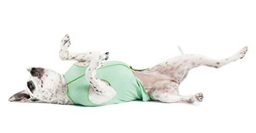 Camiseta para perro con protección UV, alivia la ansiedad de las mascotas, protege heridas, previene las colas de zorro, alopecia, lavable a máquina, para uso durante todas las estaciones, 18, Pistacho