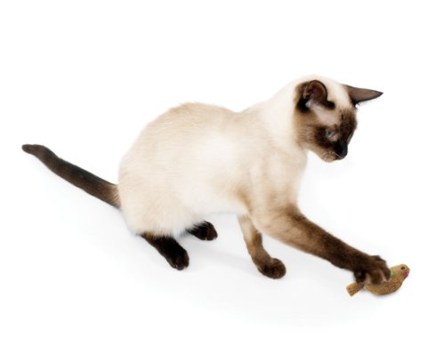 SmartyKat Chickadee Chirp Cat Toy con sonidos de pájaros