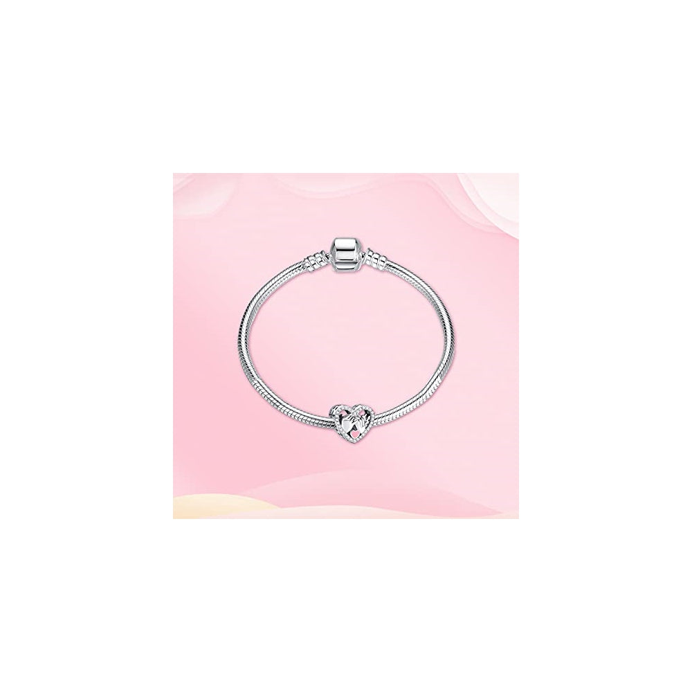 Dijes y Medallas de plata de ley