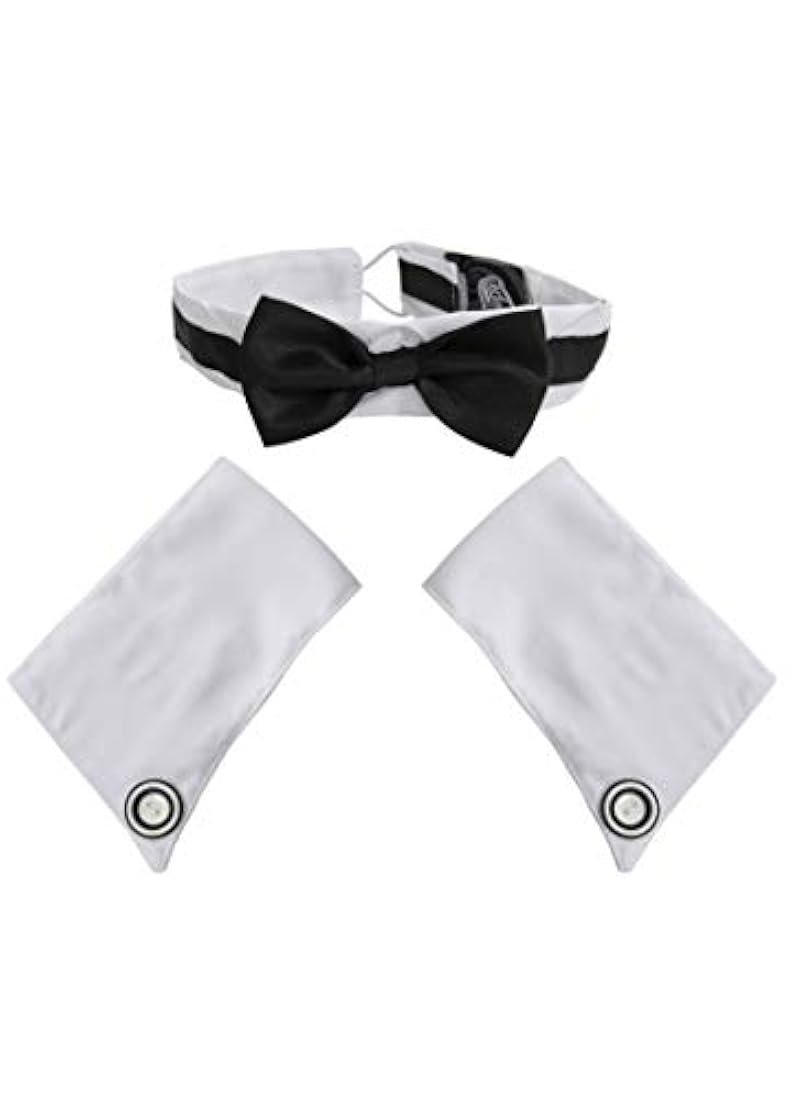 Disfraz de bailarín masculino