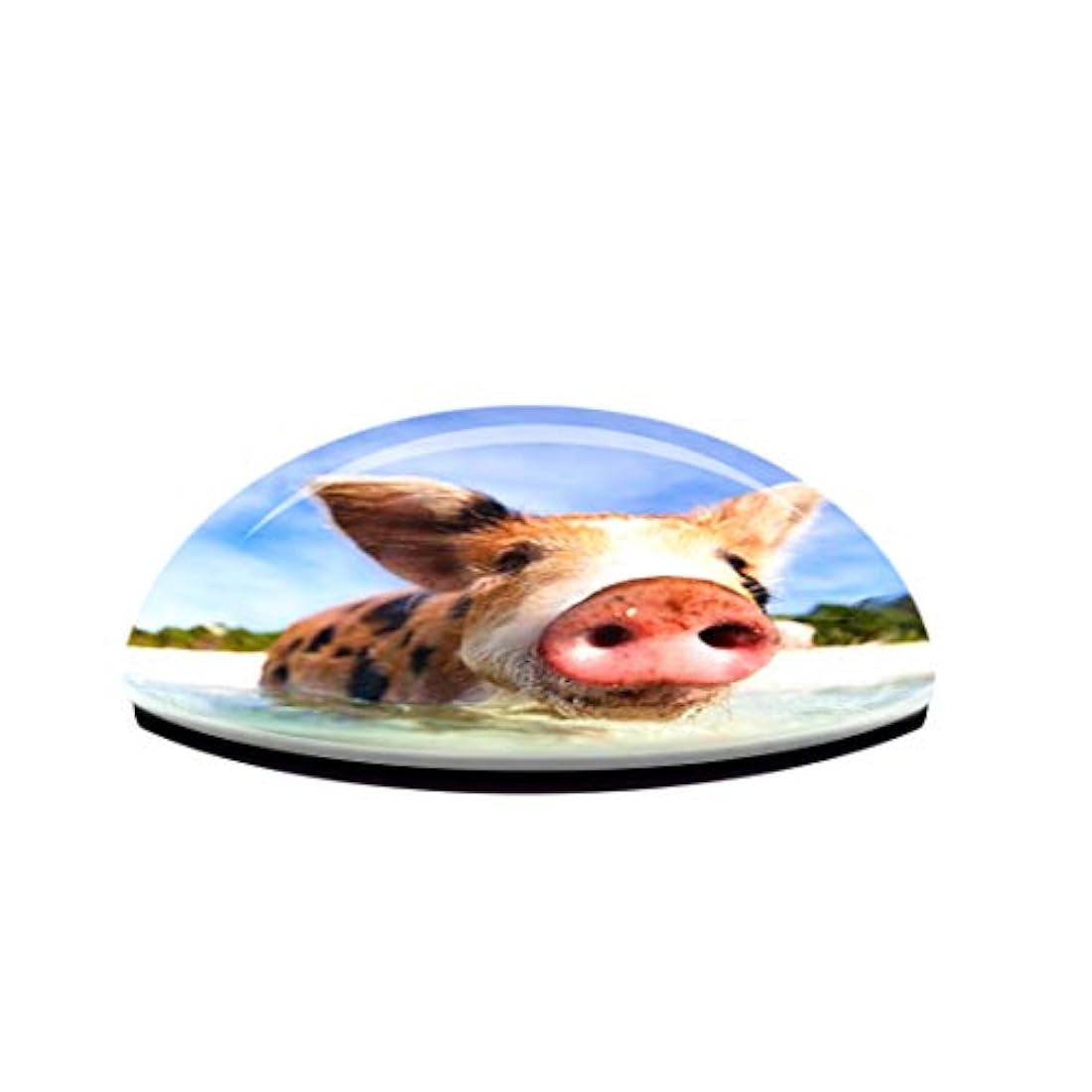 Imán con diseño de la isla Bahamas del Caribe de Great Exuma