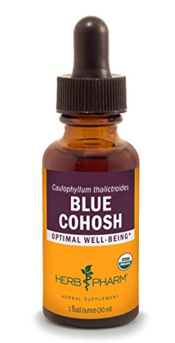 zacate Pharm orgánico certificado Azul Cohosh Extracto