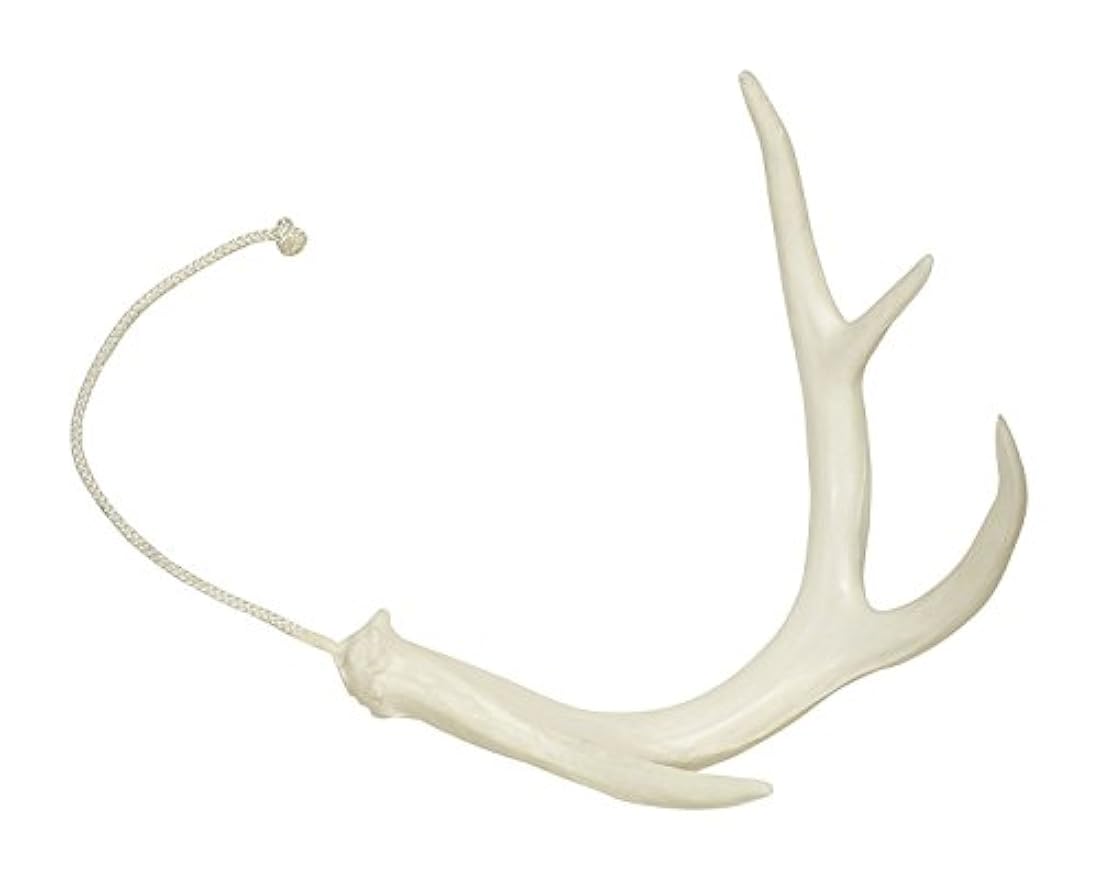 DogBone - Sistema de recuperación de cuernos para perros