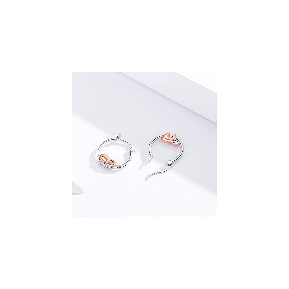 Aretes hipoalergénicos de plata con diseño para mujer