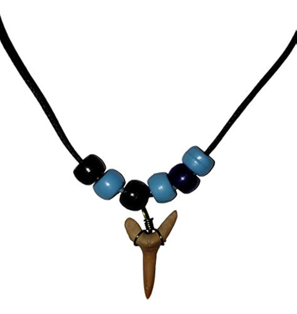 Kit de collar de dientes de tiburón fósiles