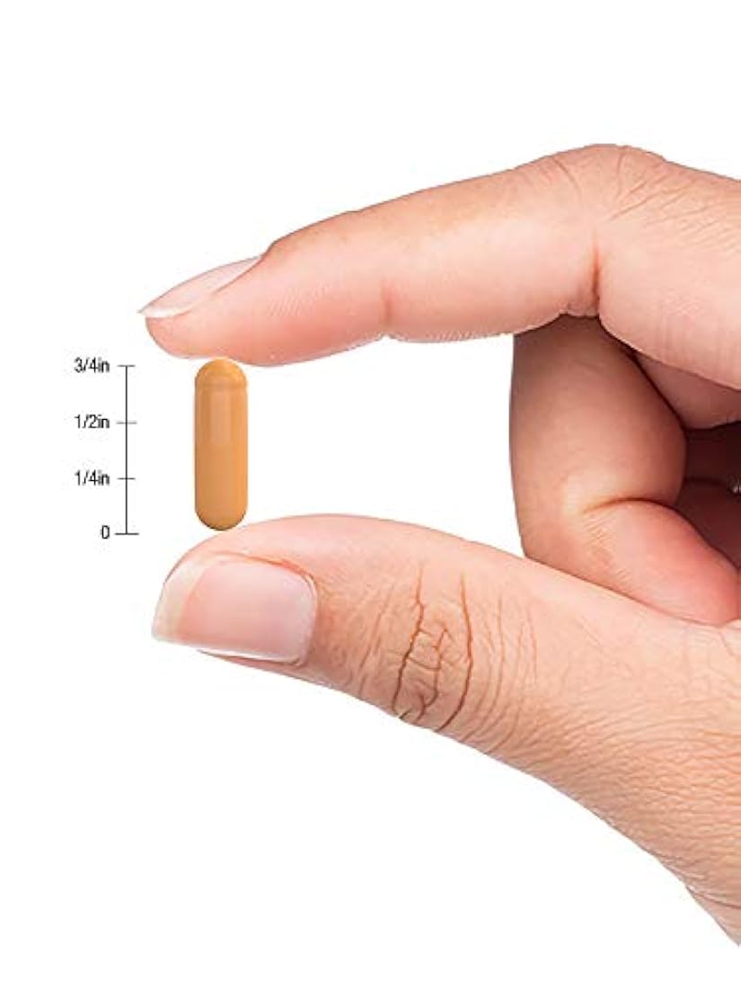 Horbaach Suplemento sin gluten de cúrcuma con bioperina