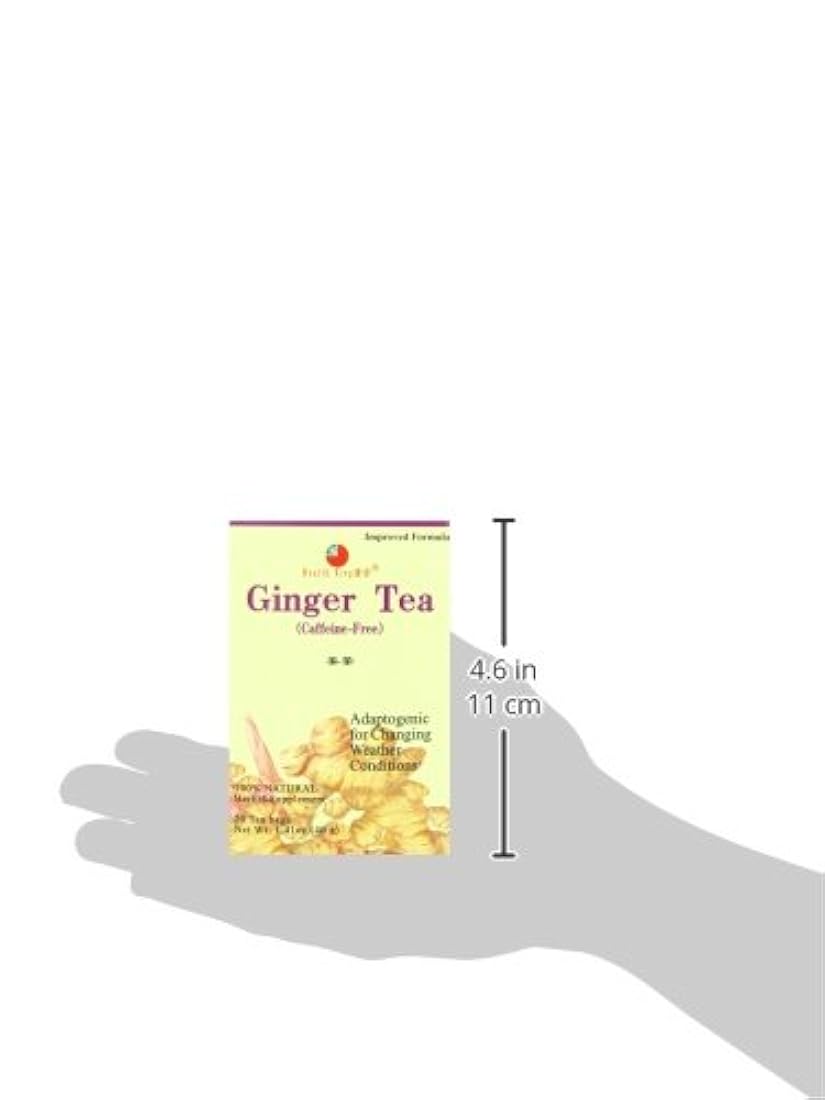 Salud Rey jengibre té de hierbas té 20 Count Caja HK-27B