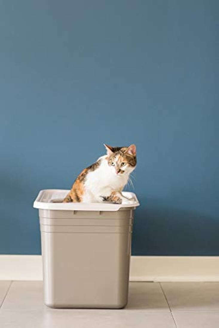 petmate - Arenero para gatos con tapa