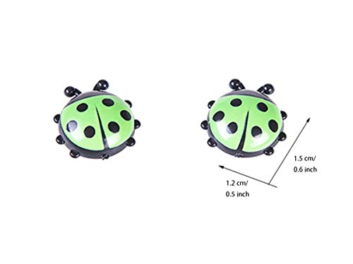 TabEnter Imanes decorativos para refrigerador perfectos