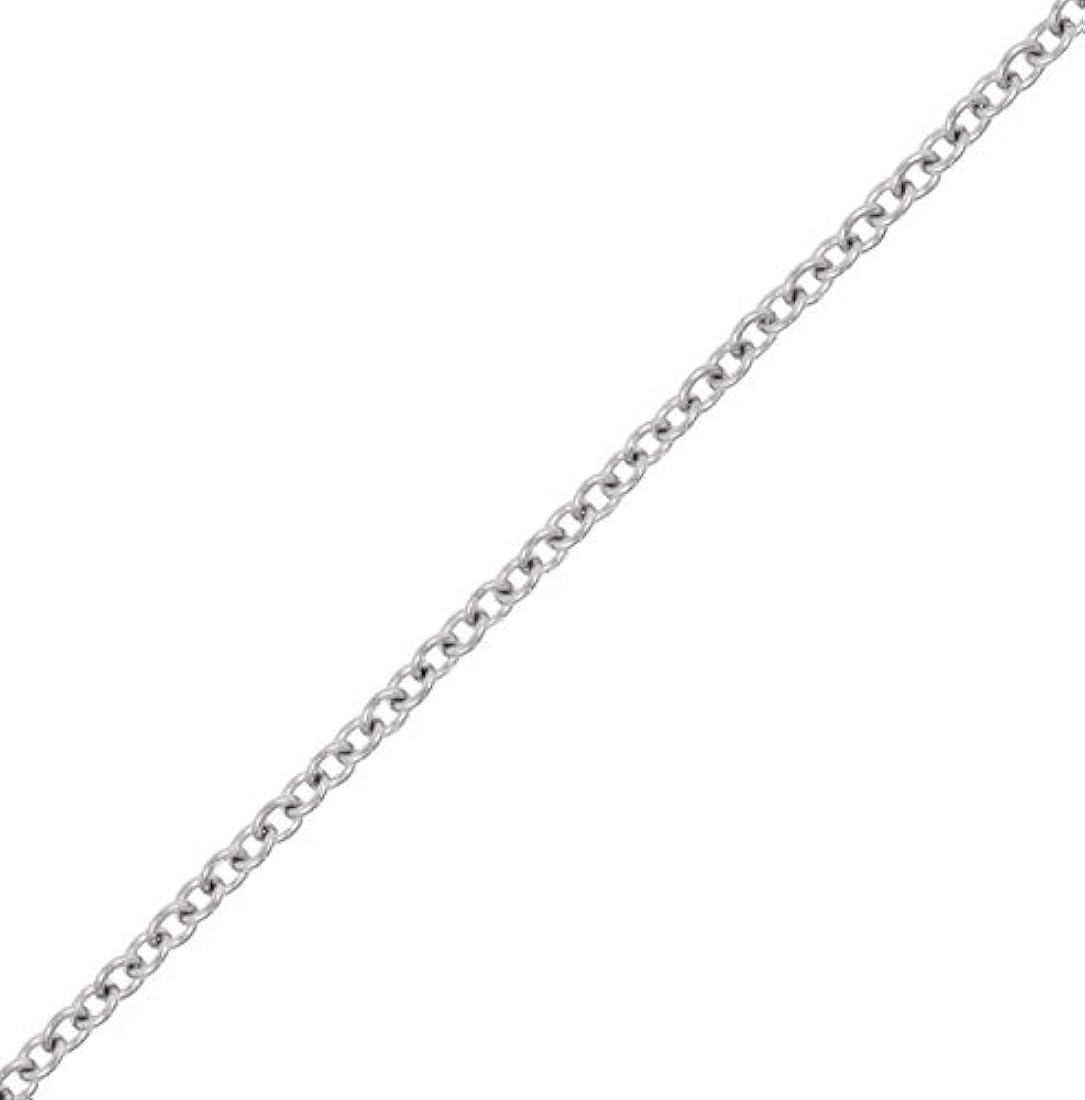 Cadena de acero inoxidable