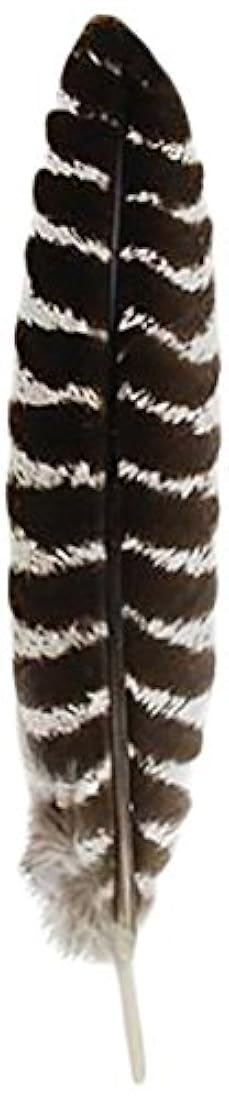 Pluma para difuminar grado A sin machas cortes