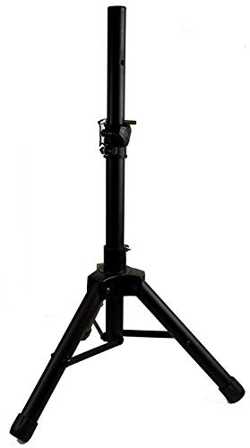 Sistema portátil recargable con micrófonos inalámbricos