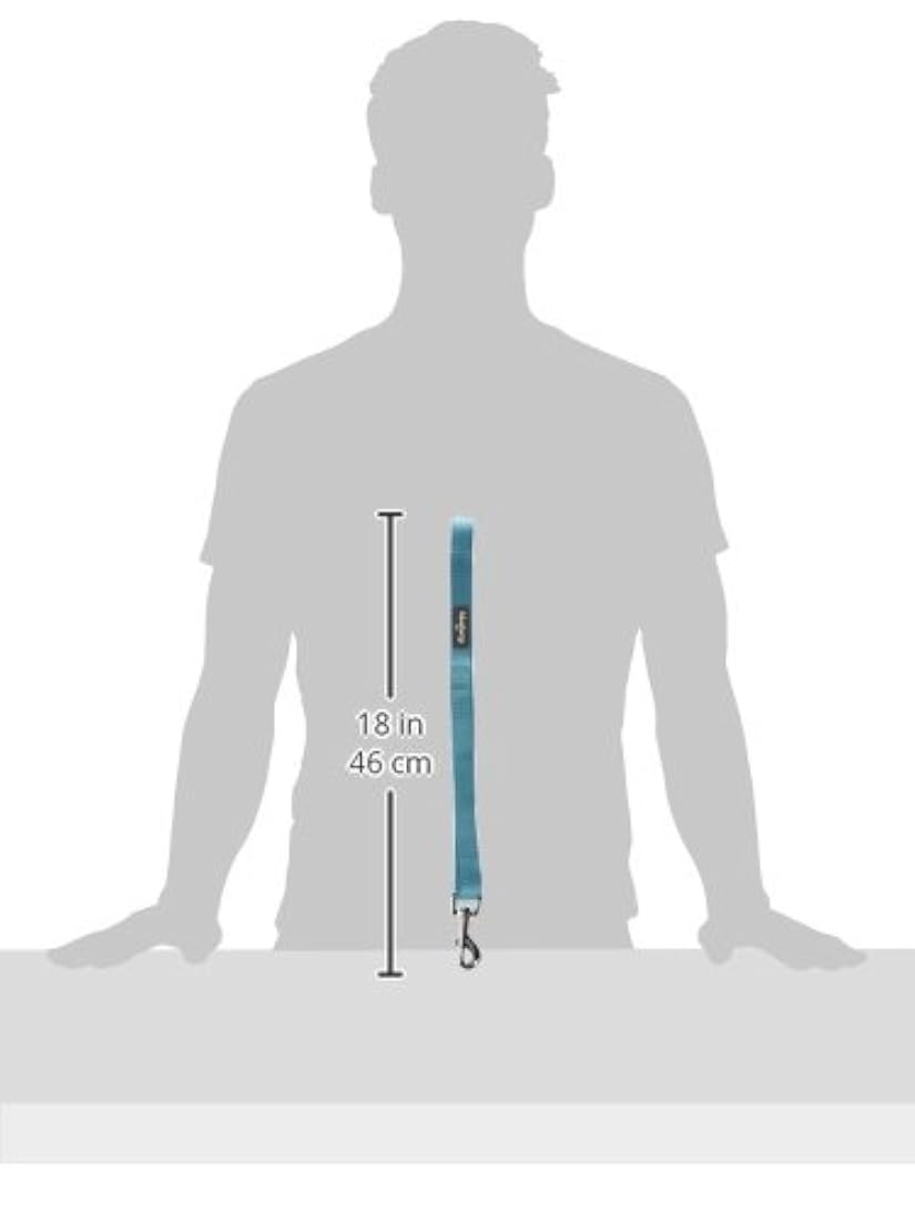 Correa clásica duradera para perros.