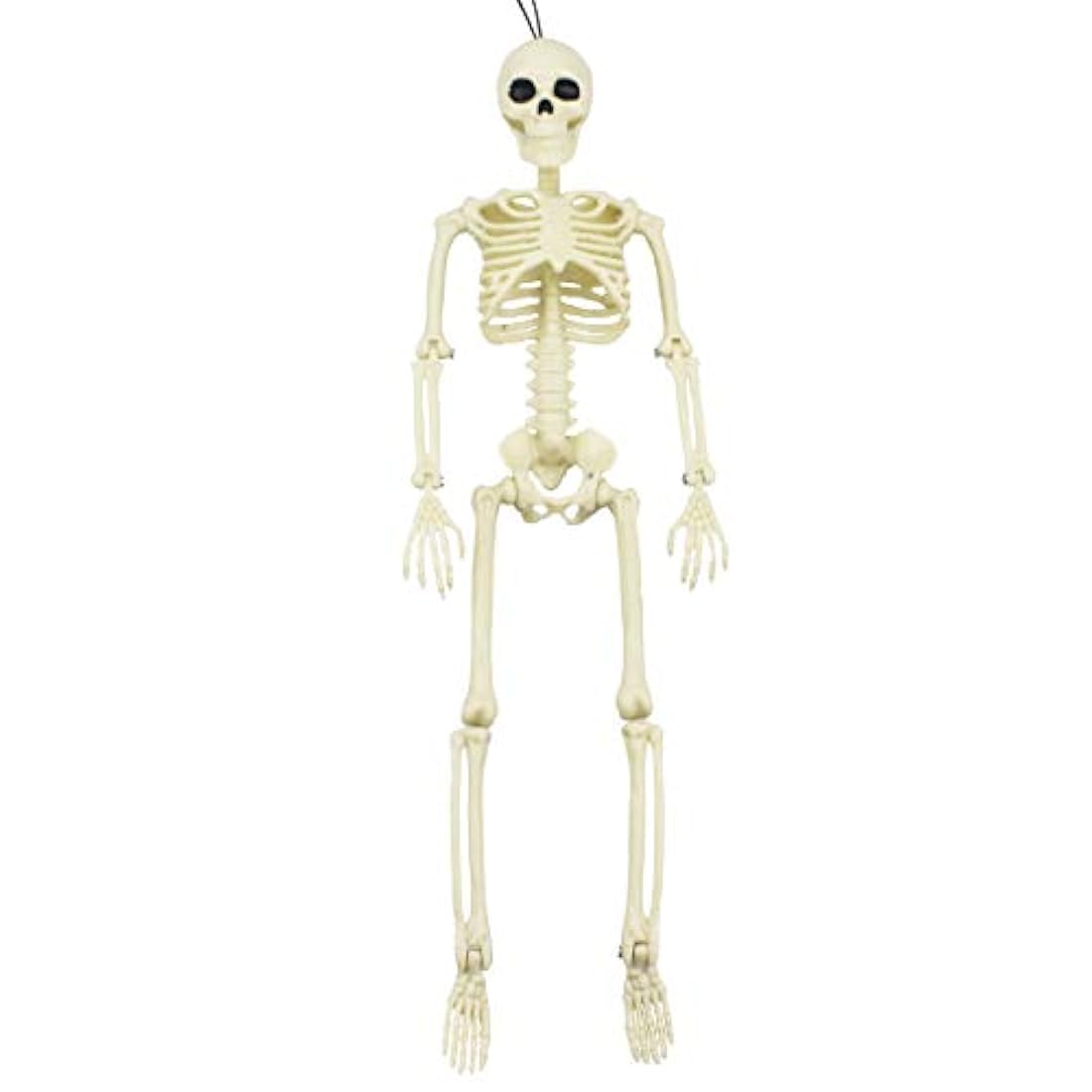 Esqueleto de Halloween de 16 pulgadas con articulaciones