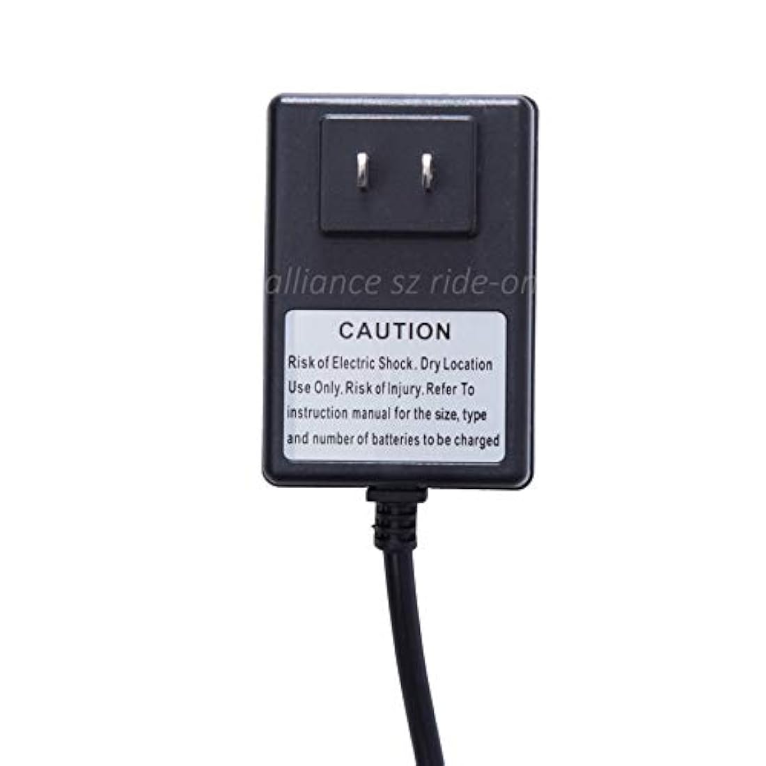 Cargador de 6 V para niños en coches