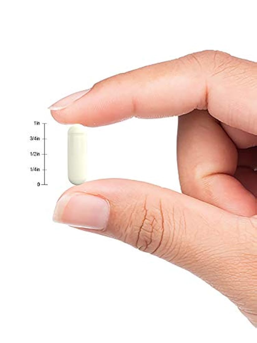 Horbaach GABA 750mg 100 Cápsulas Sin OGM, Sin Gluten