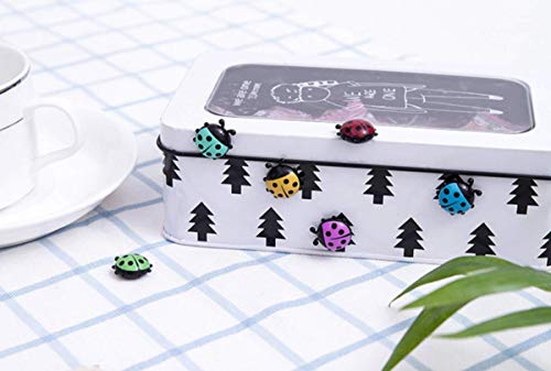 TabEnter Imanes decorativos para refrigerador perfectos