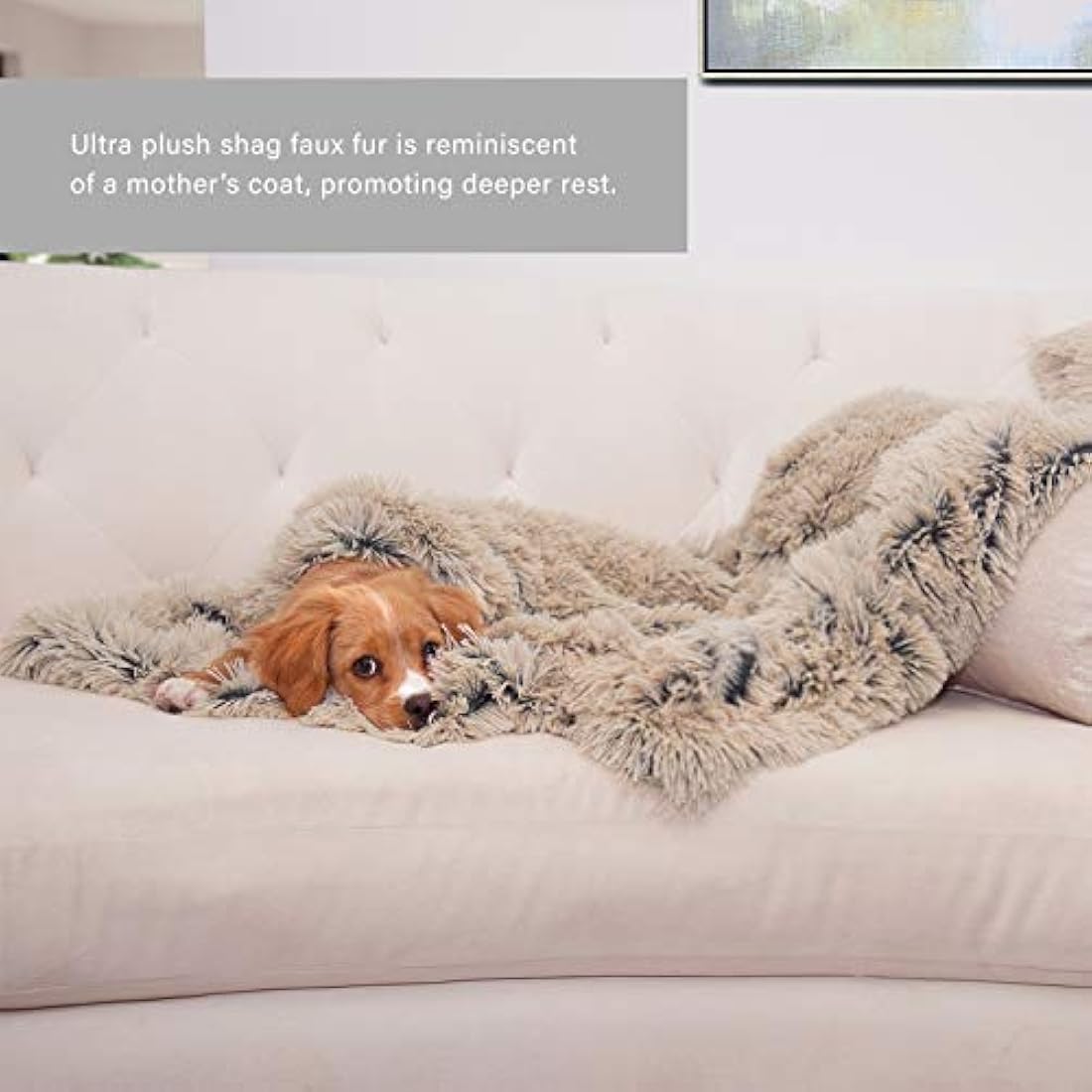 Cobija marrón Best Friends by Sheri