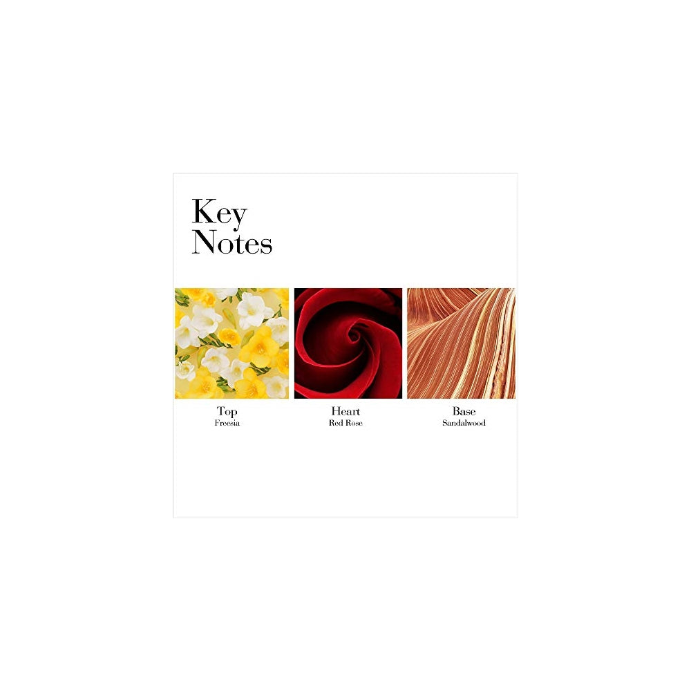 Perfumes Elizabeth Arden Red Door Spray Eau de Toilette