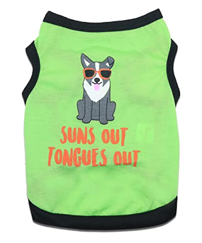 Paquete de 6 camisas para perros pequeños