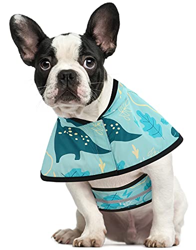 HDE Chubasquero con capucha para perros pequeños a extragrandes y cachorros (dinosaurios, pequeño)