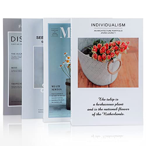 Outgeek Juego de 4 libros decorativos: decoración moderna