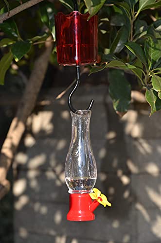 comederos de colibrí 4 paquetes de tulipán y ligeros