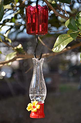 comederos de colibrí 4 paquetes de tulipán y ligeros