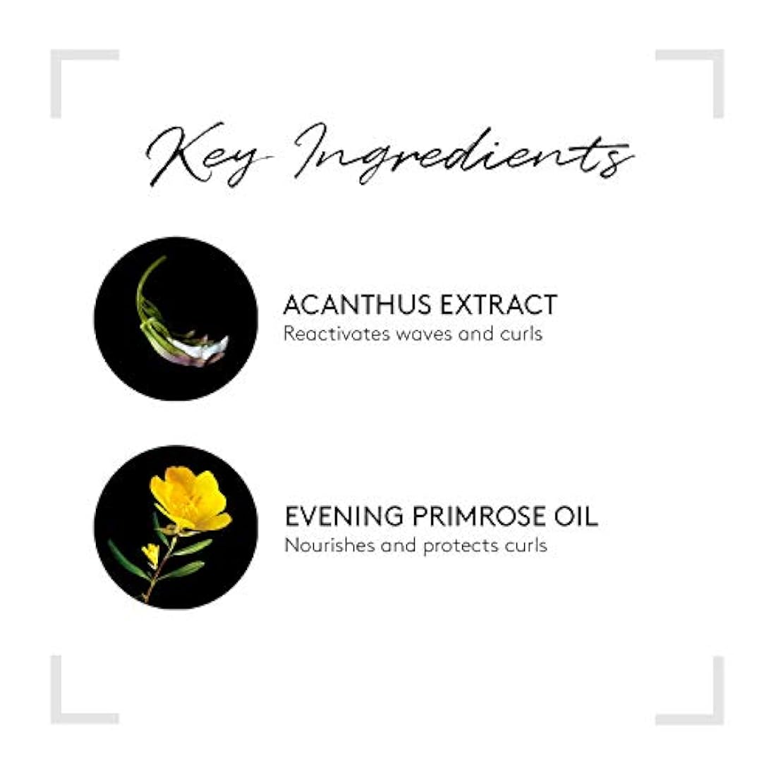 Champú Activador de Rizos