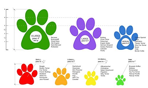 Bota para perros a prueba de agua