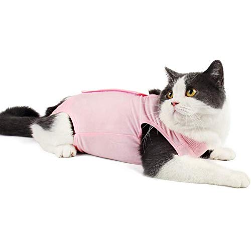 Traje de recuperación de gatos para heridas abdominales o enfermedades de la piel, alternativa transpirable de cuello electrónico para gatos y perros, después de la cirugía, uso antilame heridas