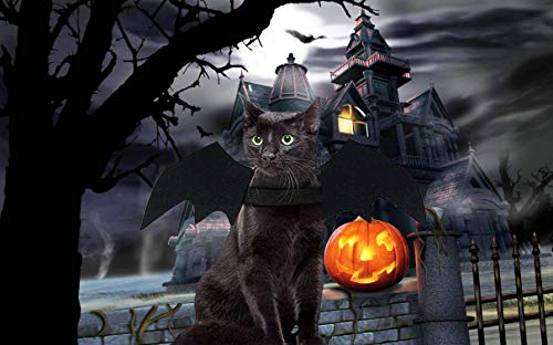 Malier Disfraz de Halloween para gatos, perros, mascotas, alas de murciélago