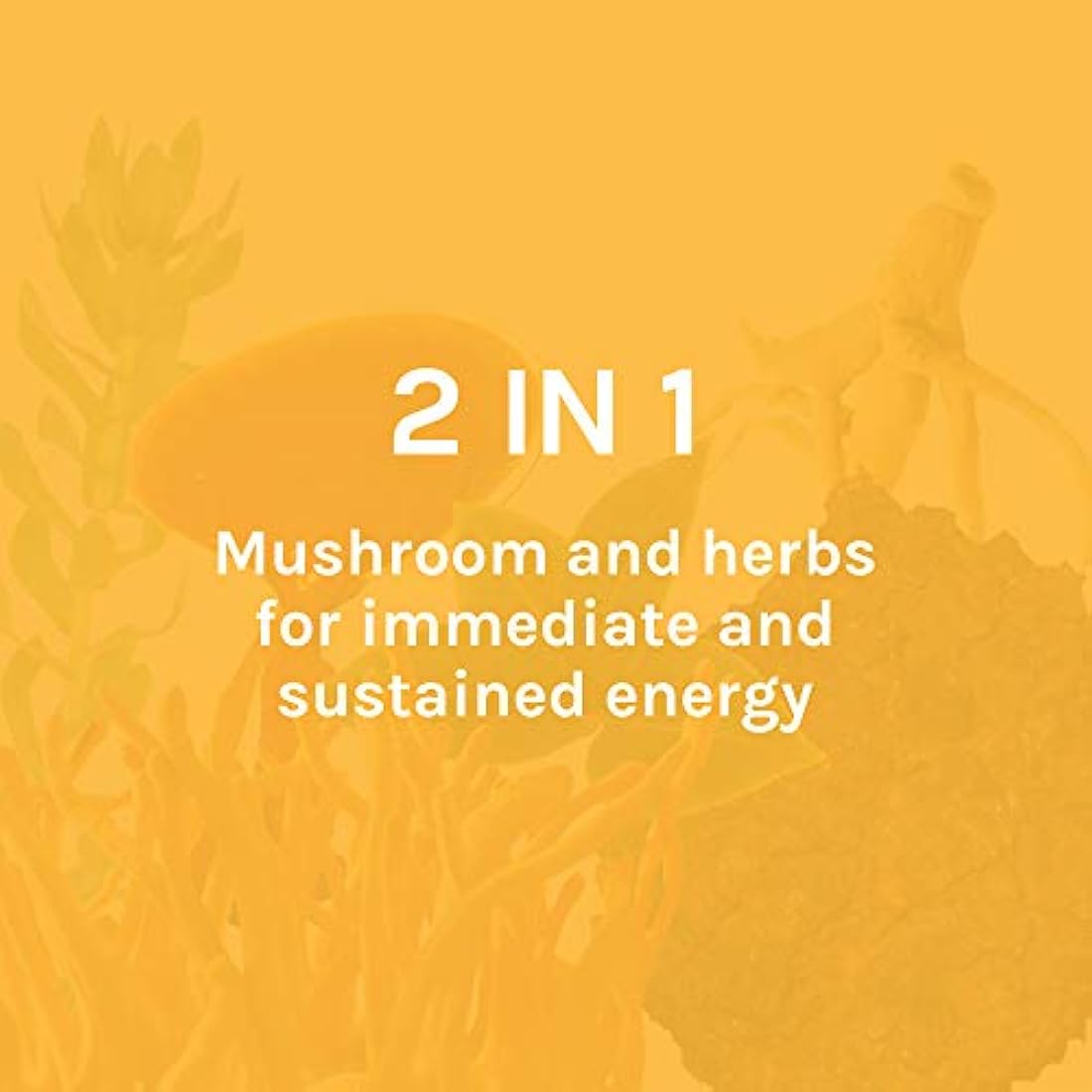 Cápsulas Host Defense