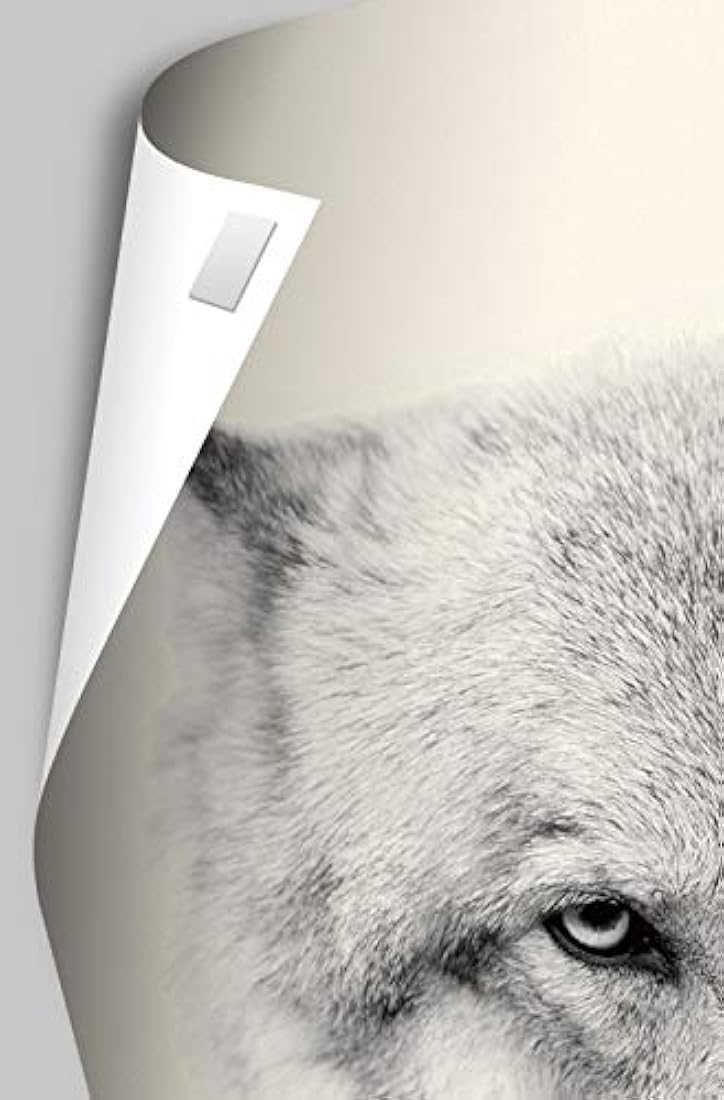 Trends International Animal House-College Mount Bundle Póster de pared, 22.375 x 34, Multi