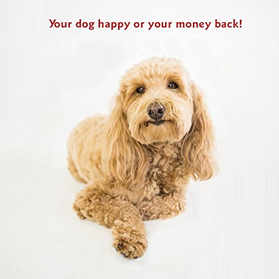 Almohada de cama para mascotas