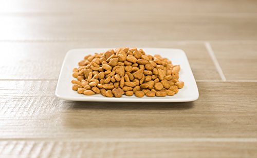 Purina Pro Plan para gatos Fórmula de salmón y arroz