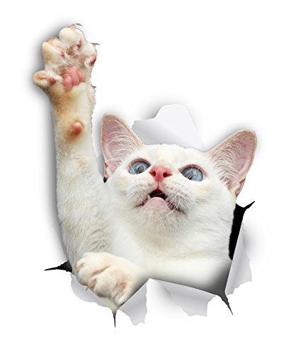 Adhesivos 3D de gatos (Paquete de 2)