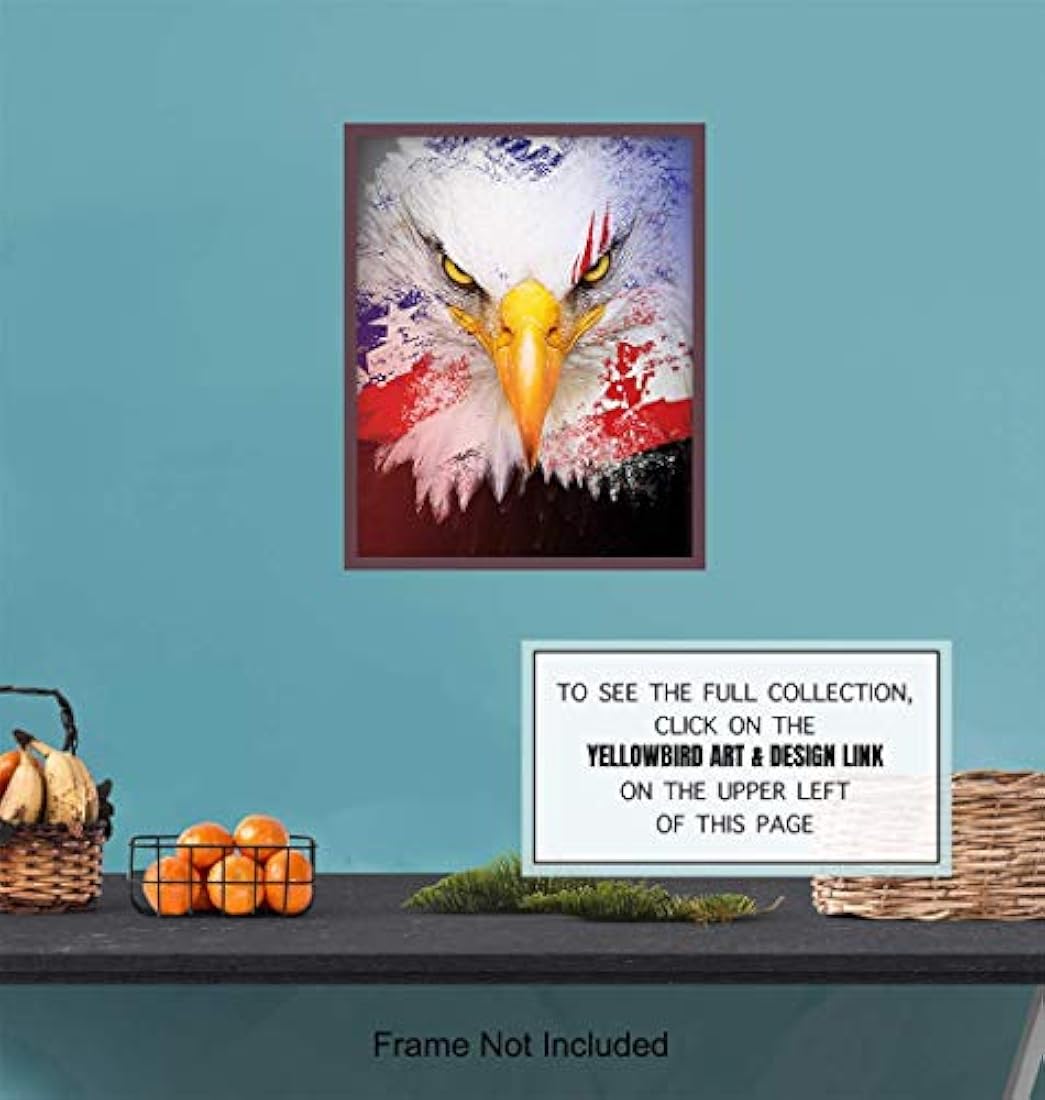 foto sin marco de america de 8x10