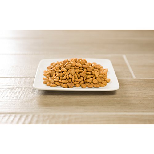 Purina Pro Plan para gatos Fórmula de salmón y arroz